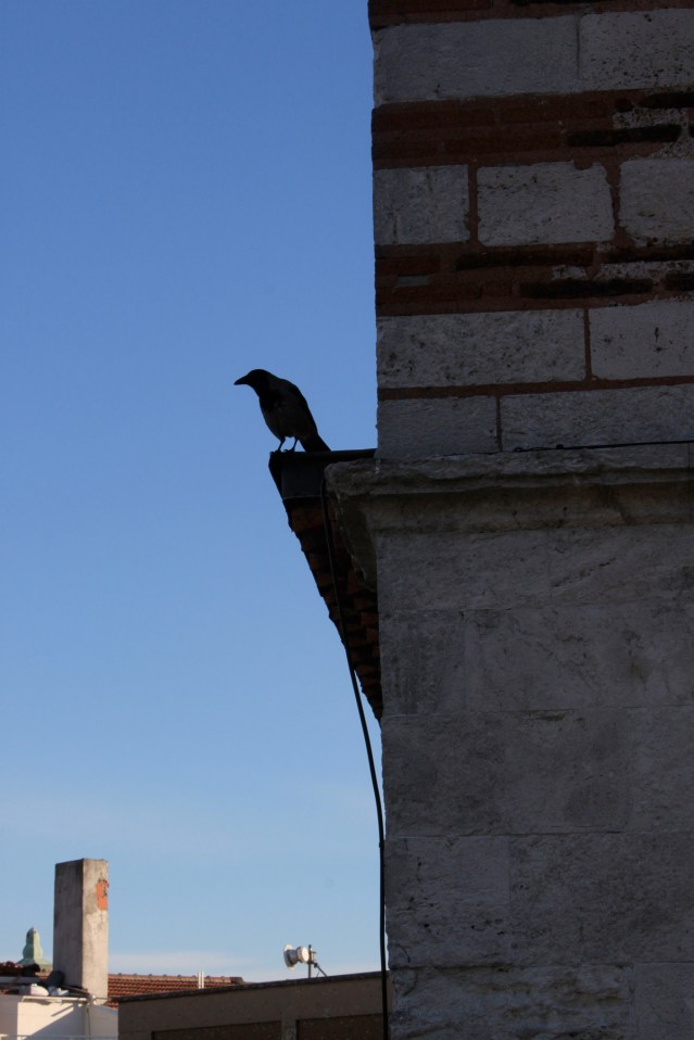 Samm Cohen 12 Istanbul Â© 2016